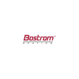 Bostrom-Banner-e1551967204546